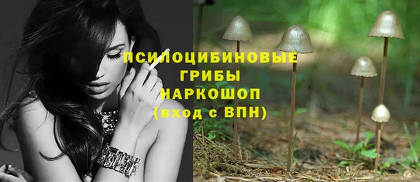 винт Балахна