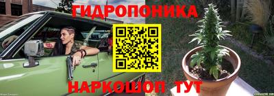 2c-b Гусиноозёрск