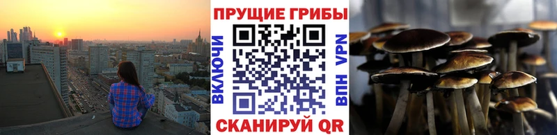 гидра ТОР  Минеральные Воды  Псилоцибиновые грибы ЛСД 